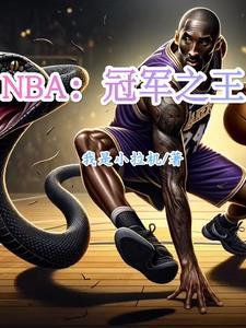 nba总冠军之路