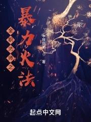 全职法师之暴力法师