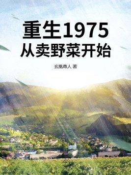 重生到1975年的